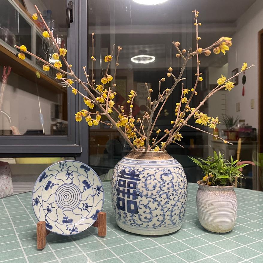 辉仔