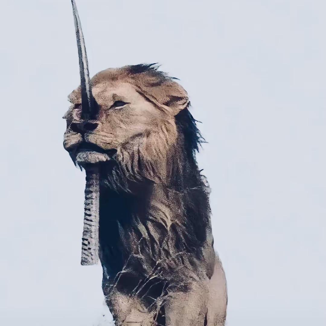 西安yc （团队招优）