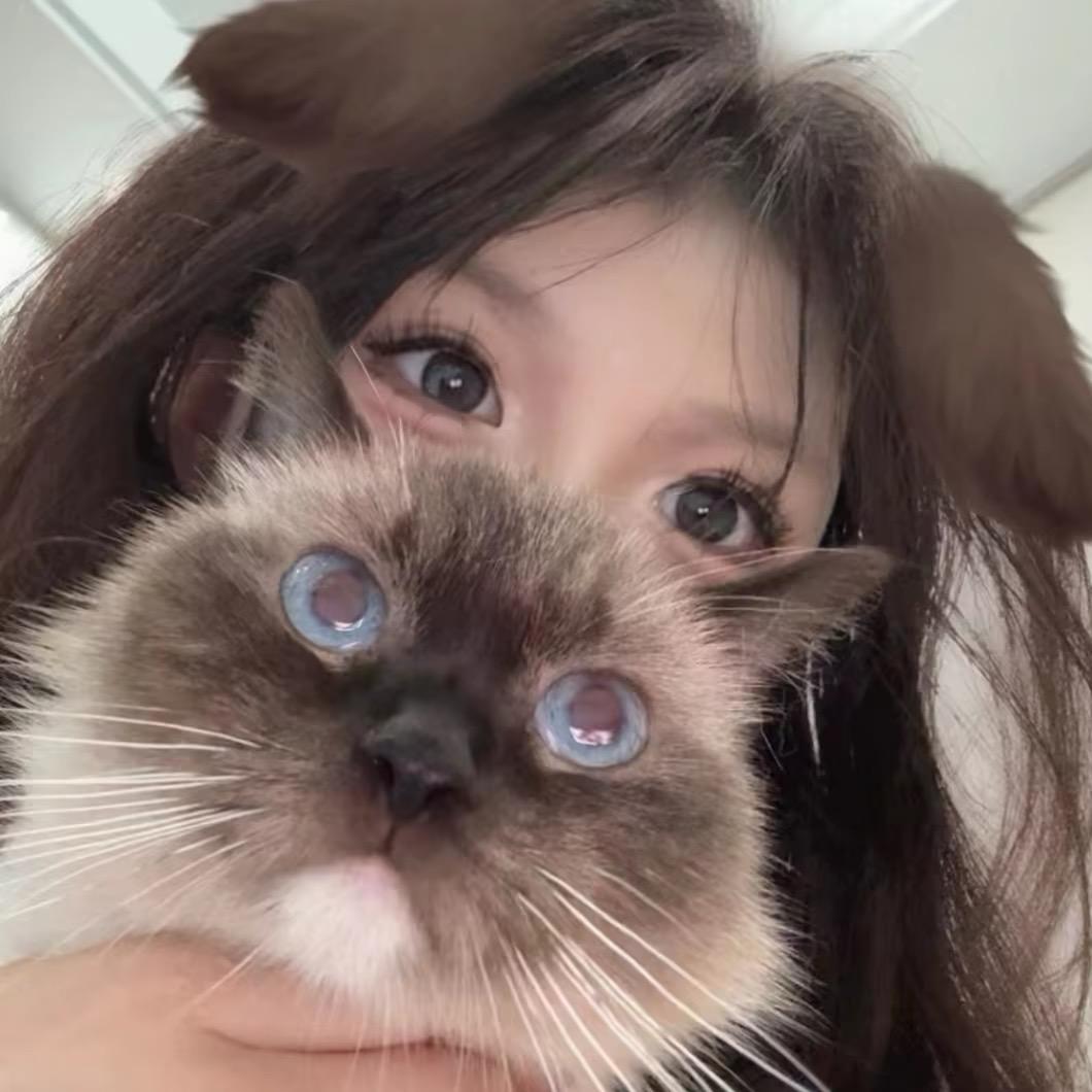 阿霞控