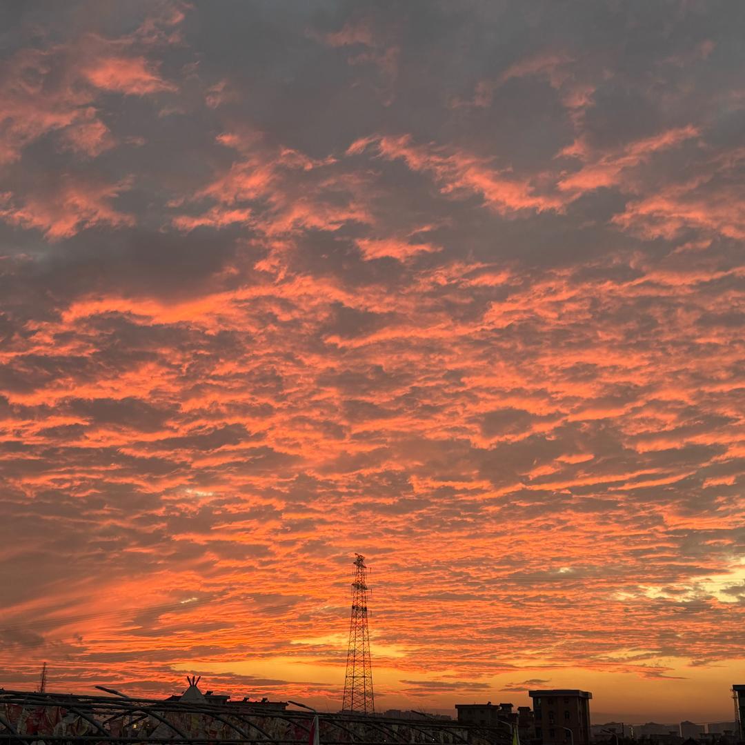 小张同学
