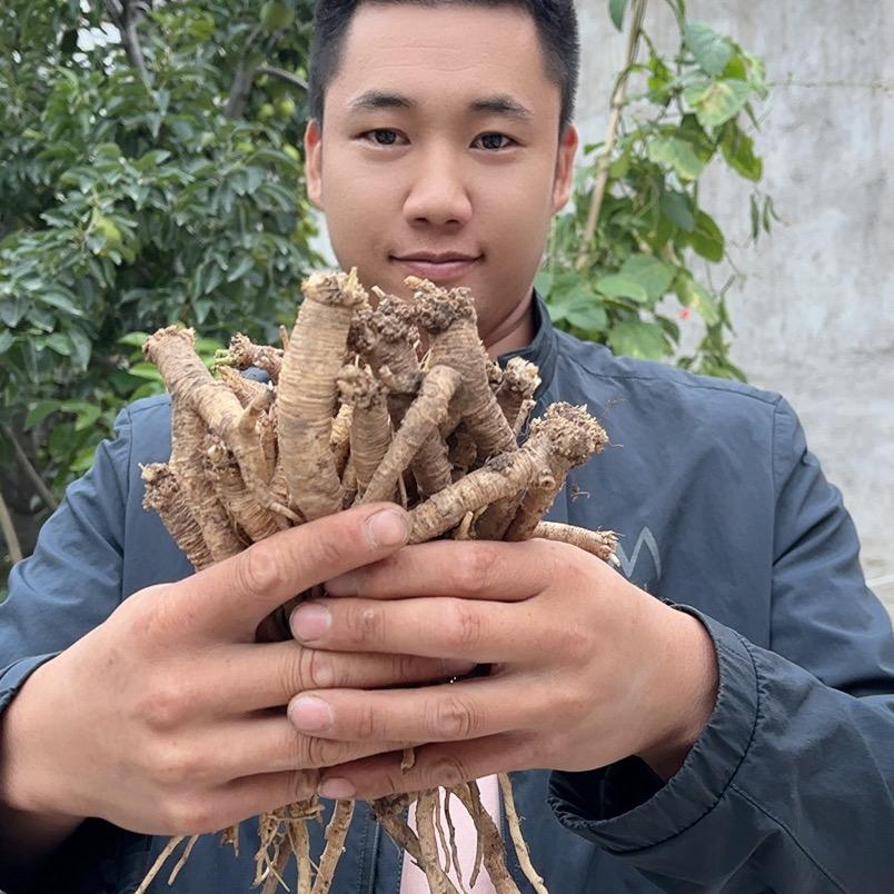 小漆滋补养生坊