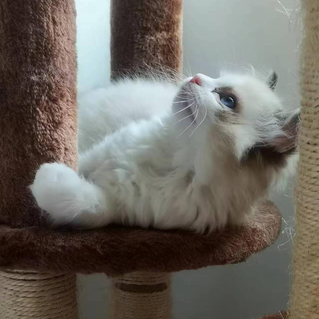 一口一个果冻🍮