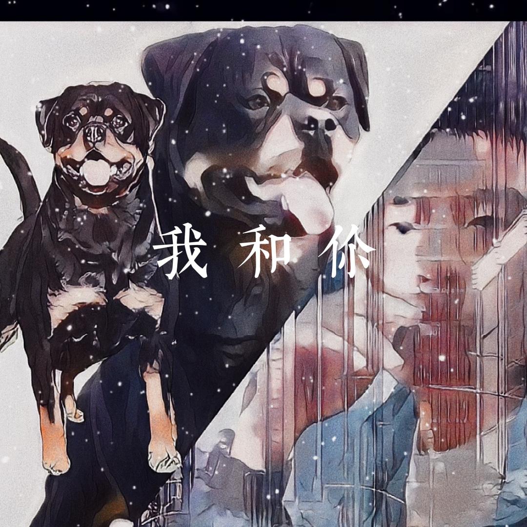 小向（罗威纳）