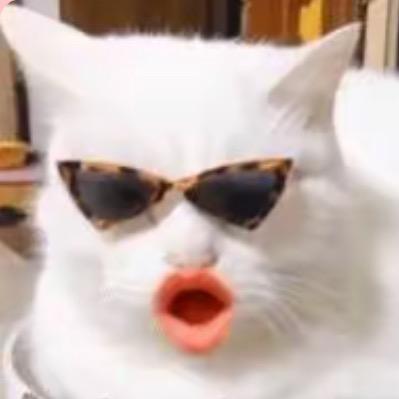 .ᯅ.酸甜脆辣小萝卜头ᥫᩣ