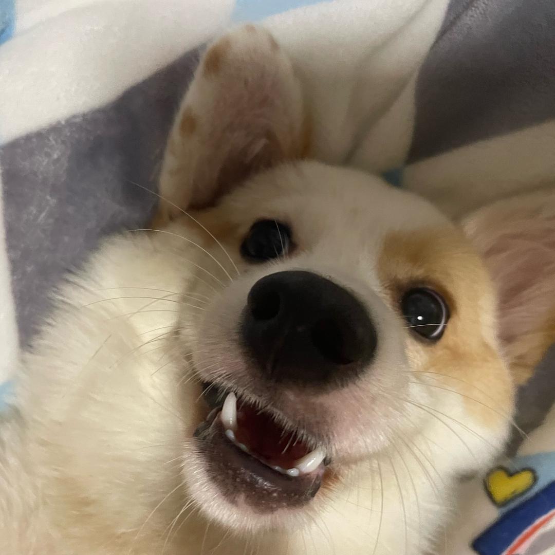唯一