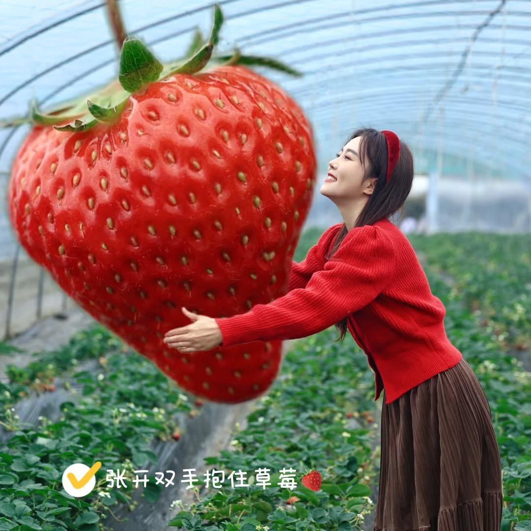 爱剪辑
