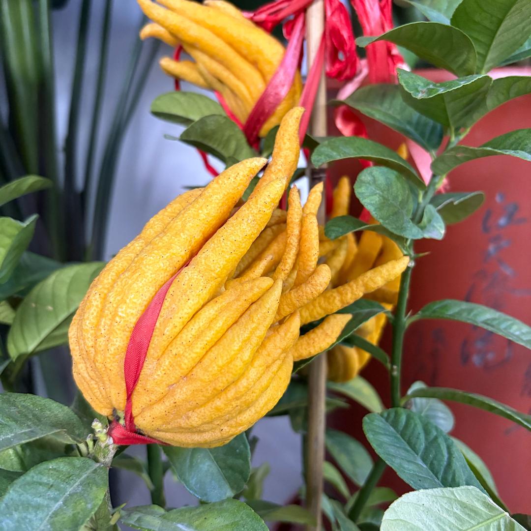 广东趣哪儿健康科技