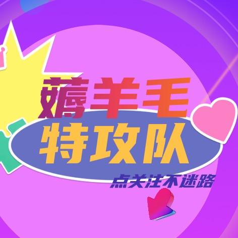 薅羊毛特攻队