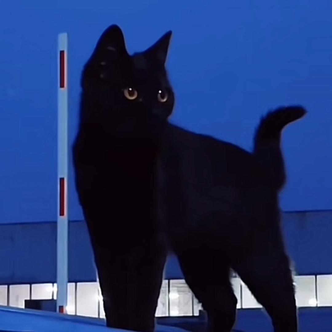 棉姐