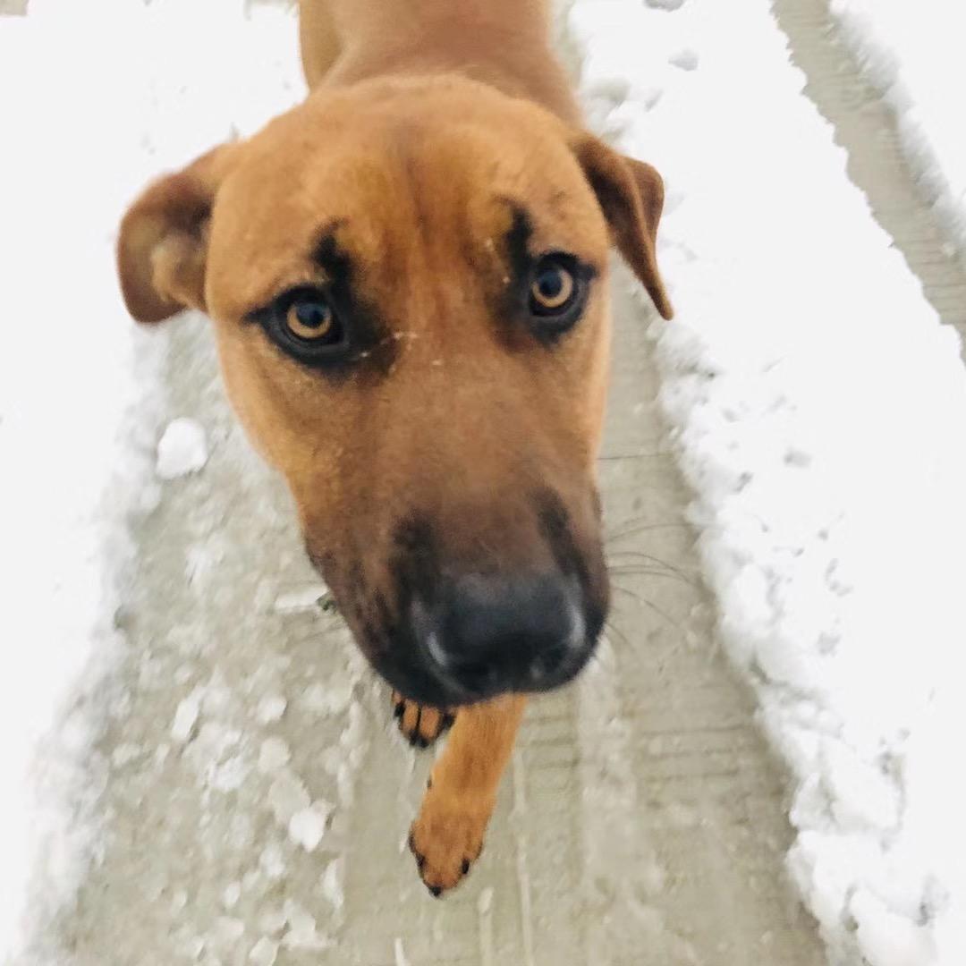 你又来看我啦🤪