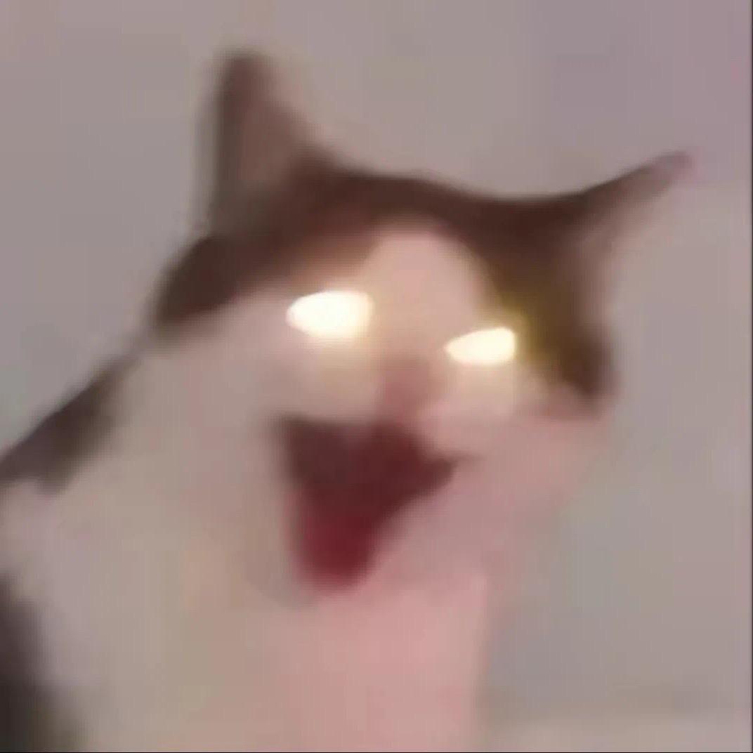 做人哪有不疯的啊