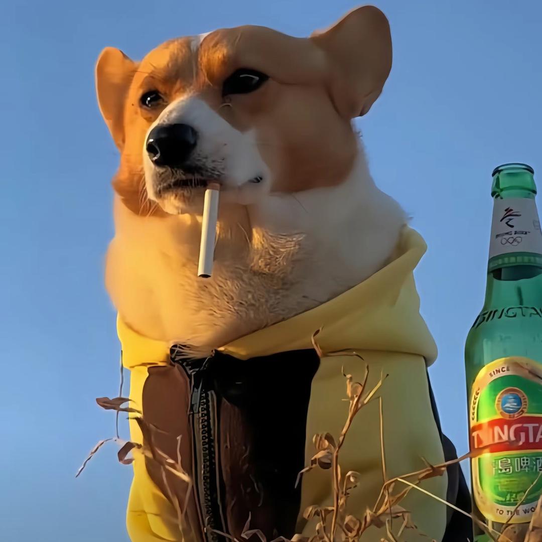 怼怼𝓛𝓽⁴¹⁷