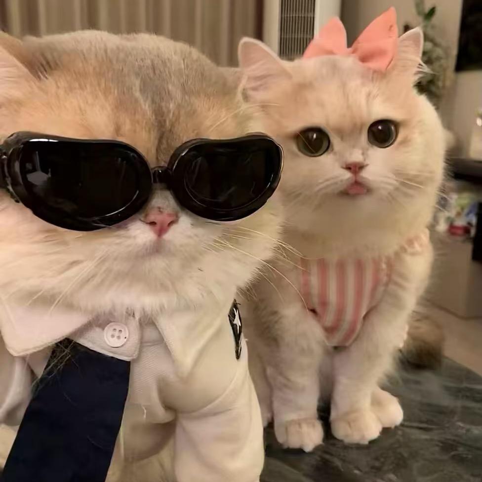 刘先生要建设祖国