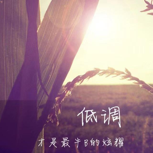 名字难取干脆不取