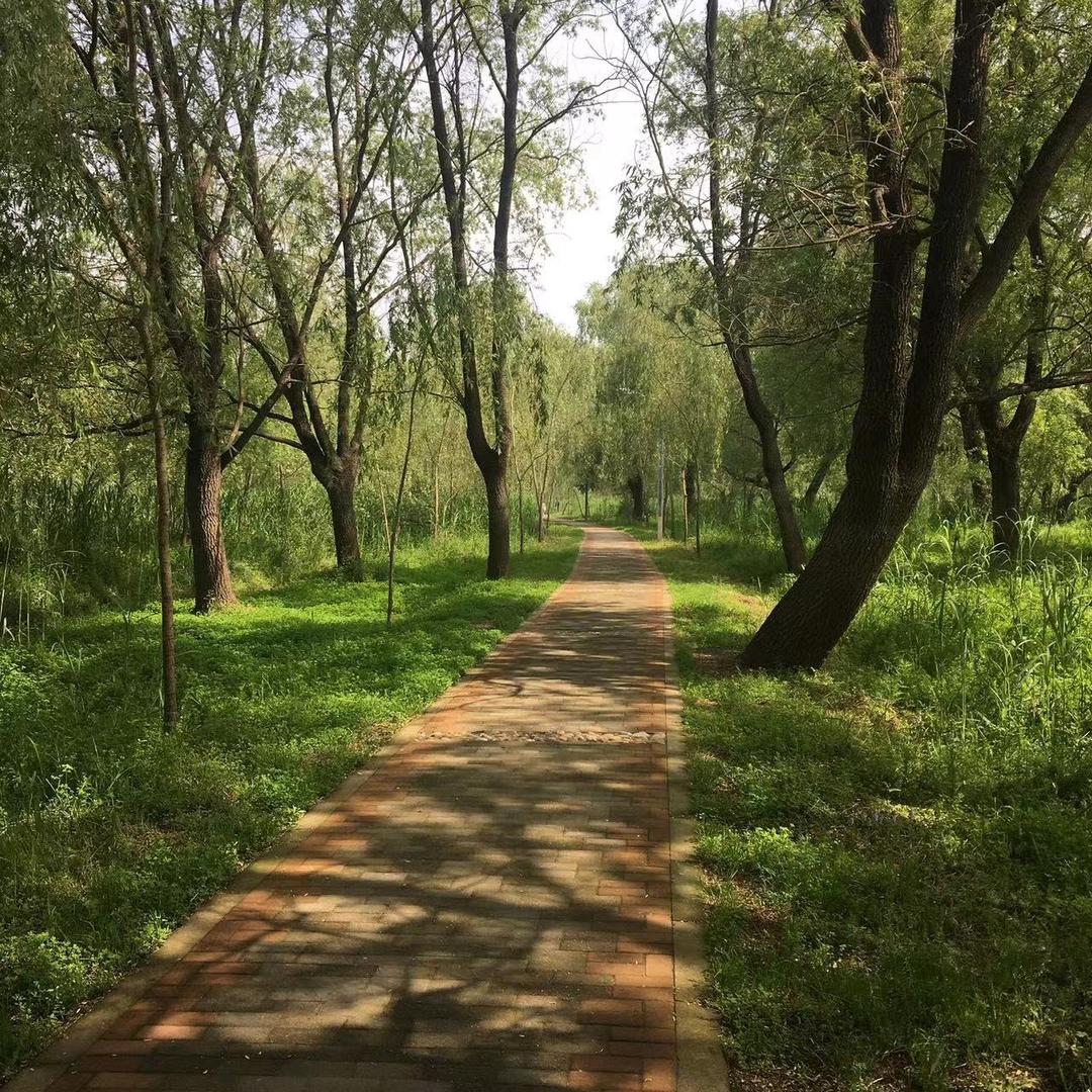 盱眙（拉货歌）