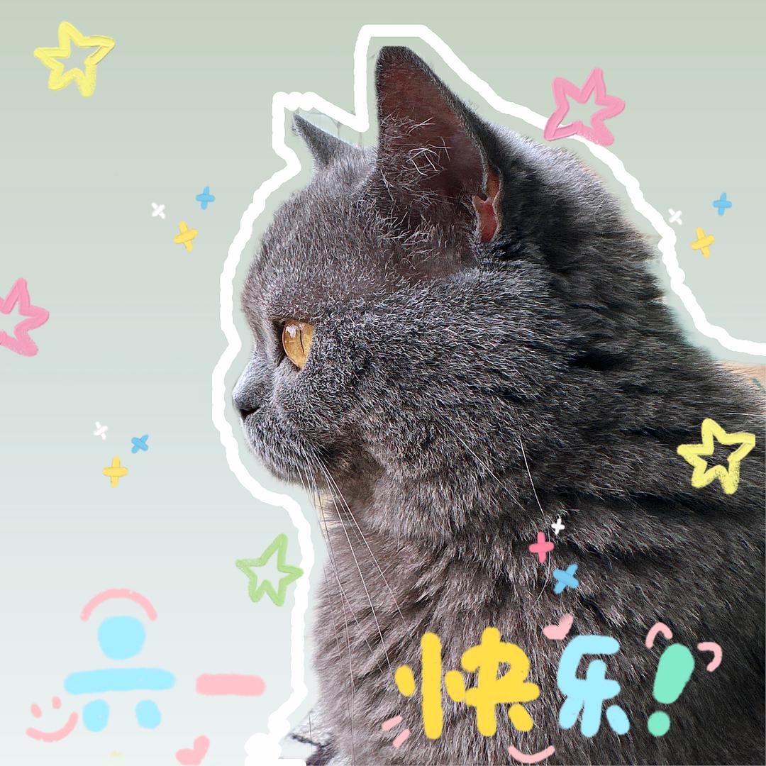 半透明雨雨雨