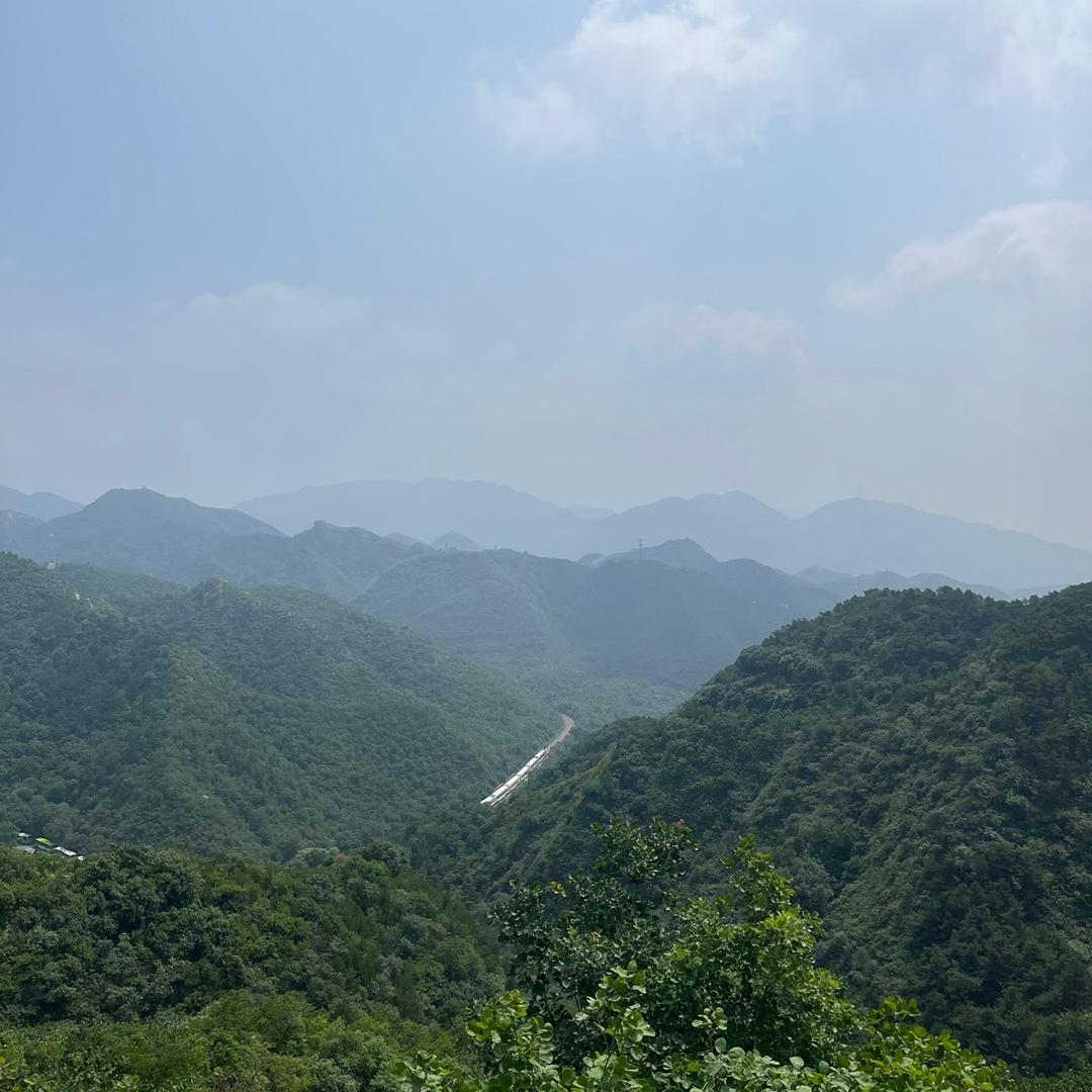 小锦鲤Jin