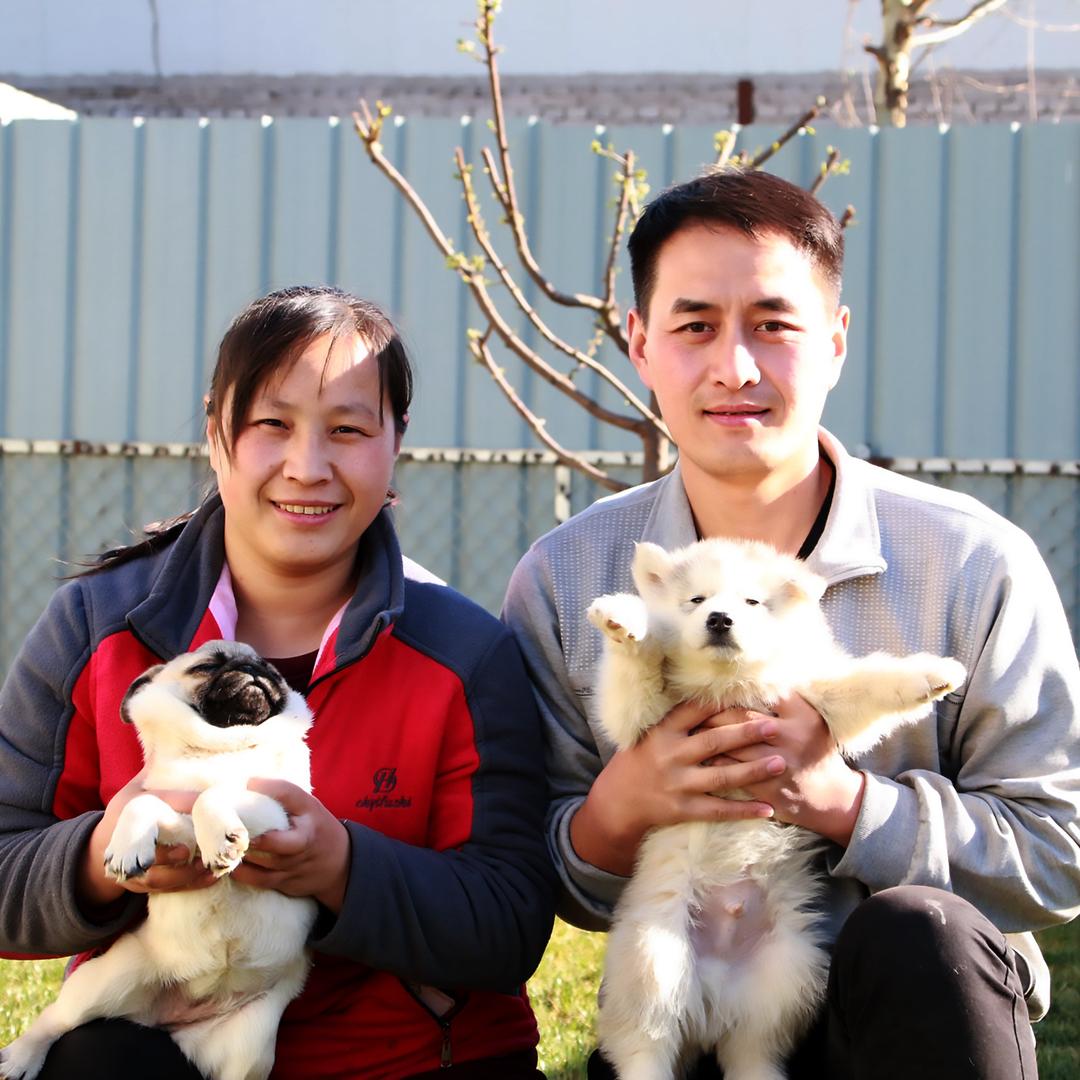 养犬兄妹