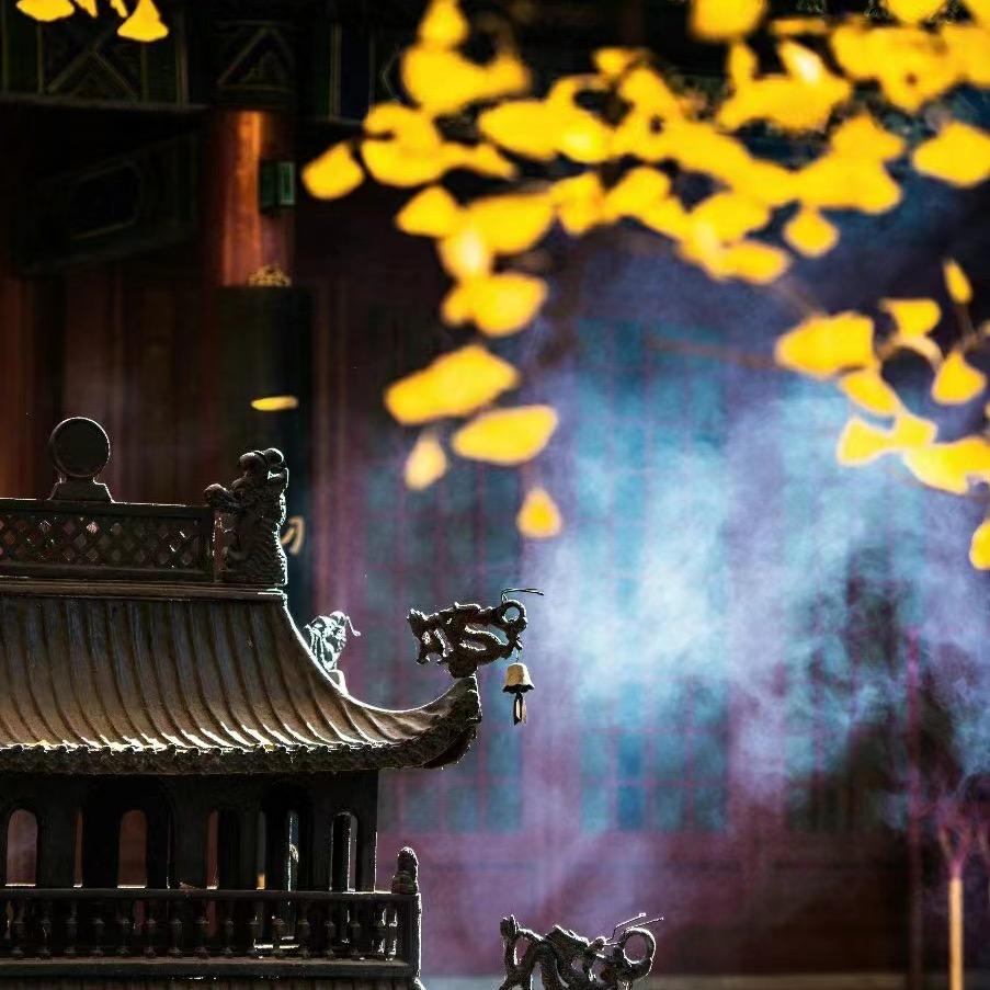 立悬居士