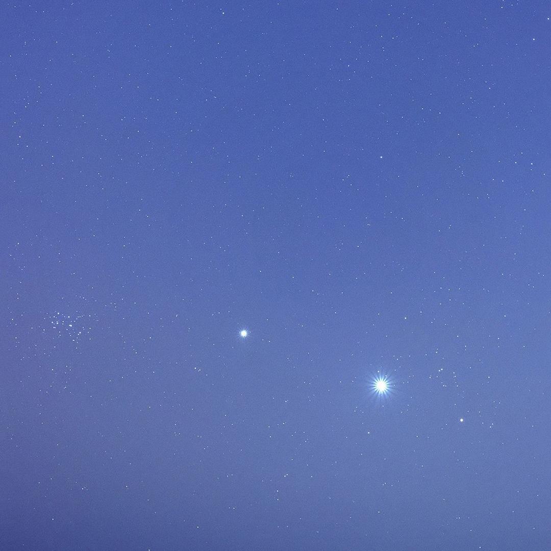 蓝 桉