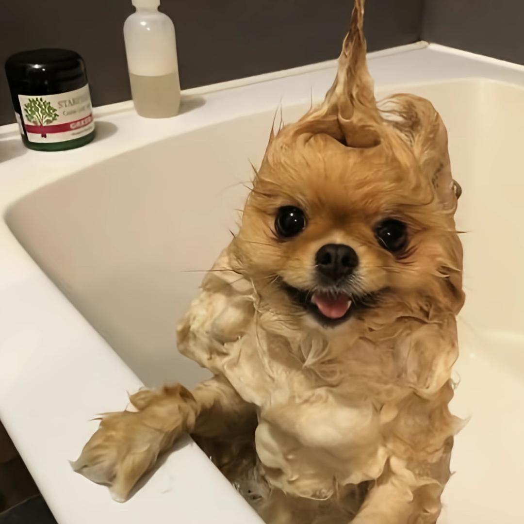 睡了还困