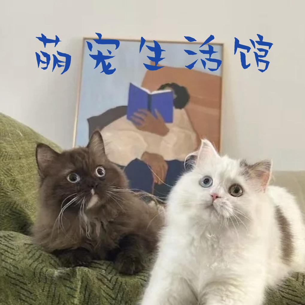 萌宠馆(陈店总店)