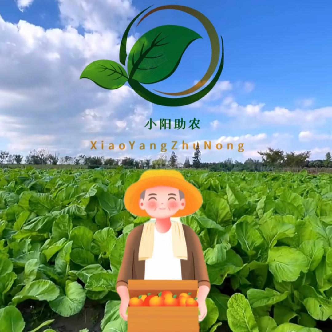 小阳农资（商品在橱窗）