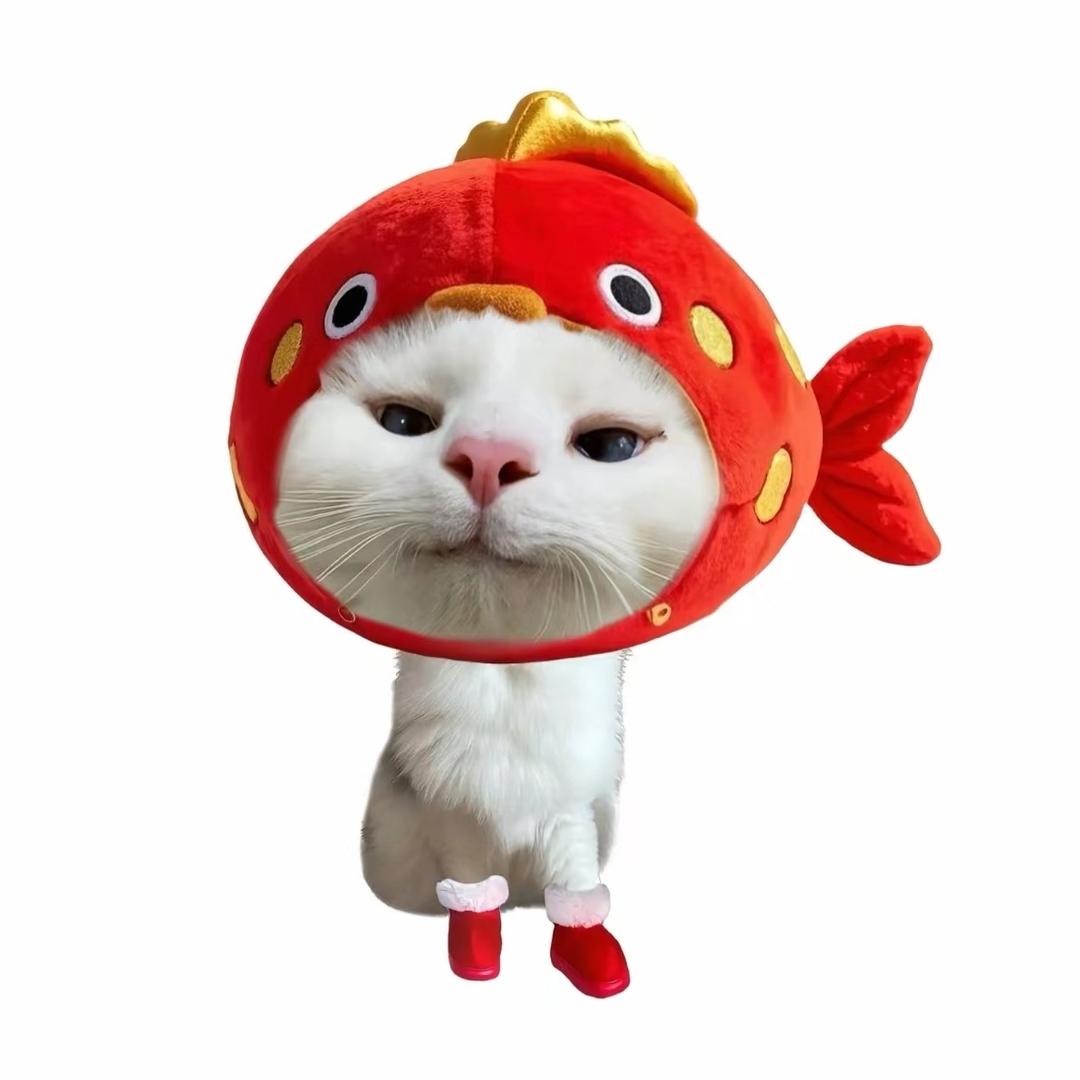 分界线