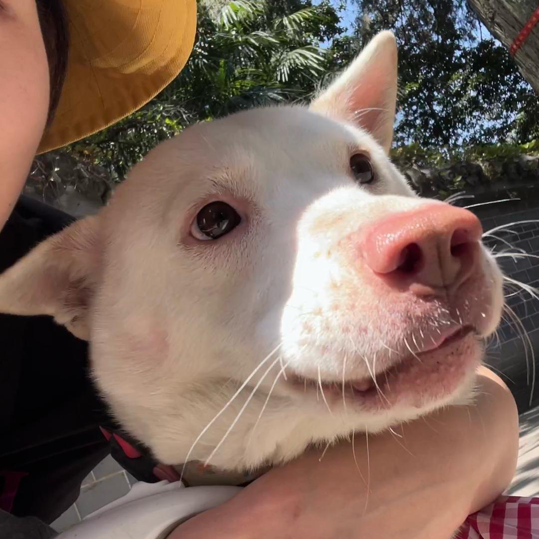 江喜宝