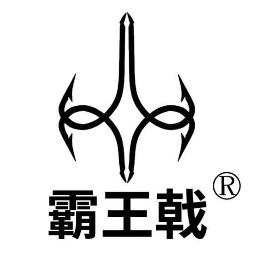 霸王戟洛阳顶点商贸有限公司户外装备专卖店