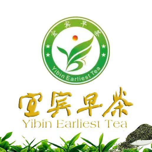 宜宾早茶茶业