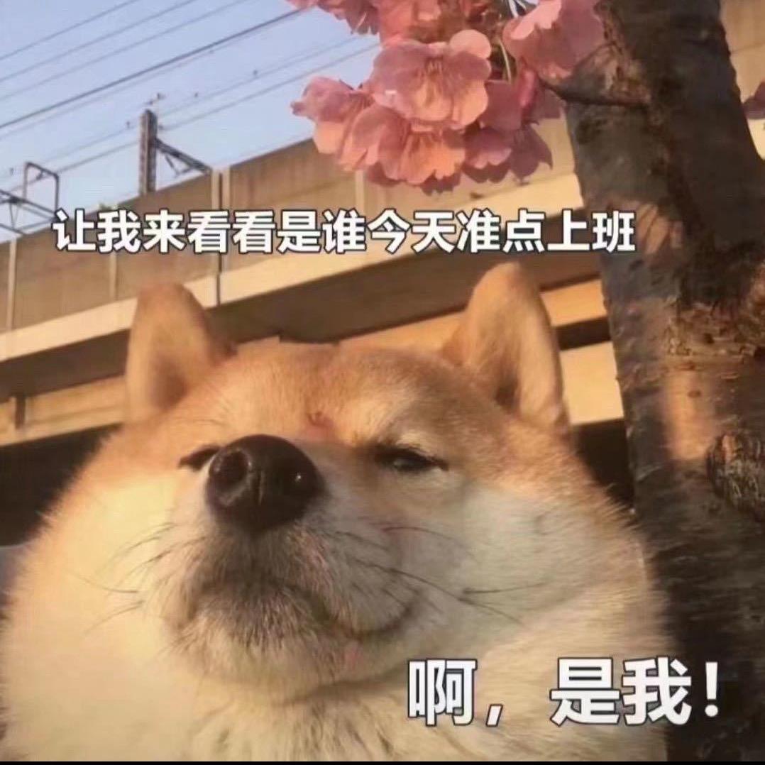 胖刀呀（lolm国服赛娜）