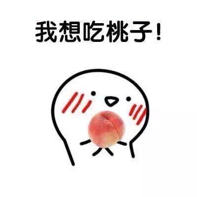 再见二丁桃