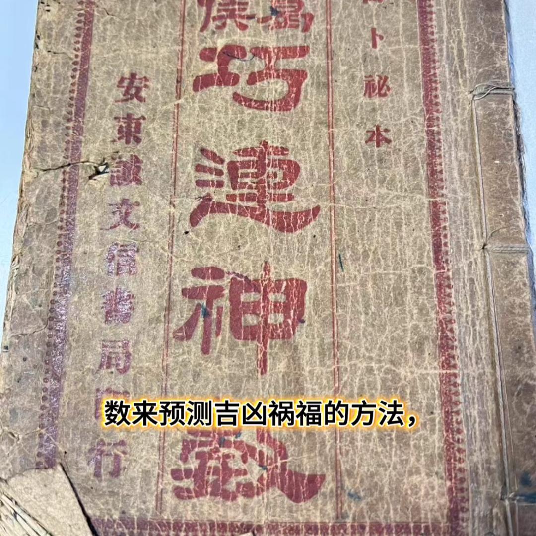 东北老哥