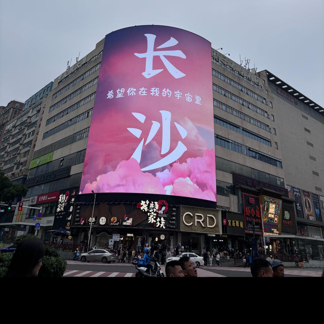 奶油卷儿