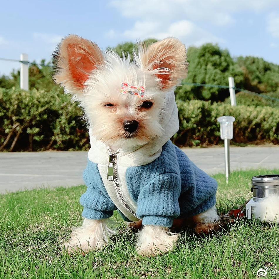 多多的奶茶管儿（在檀健次手心）
