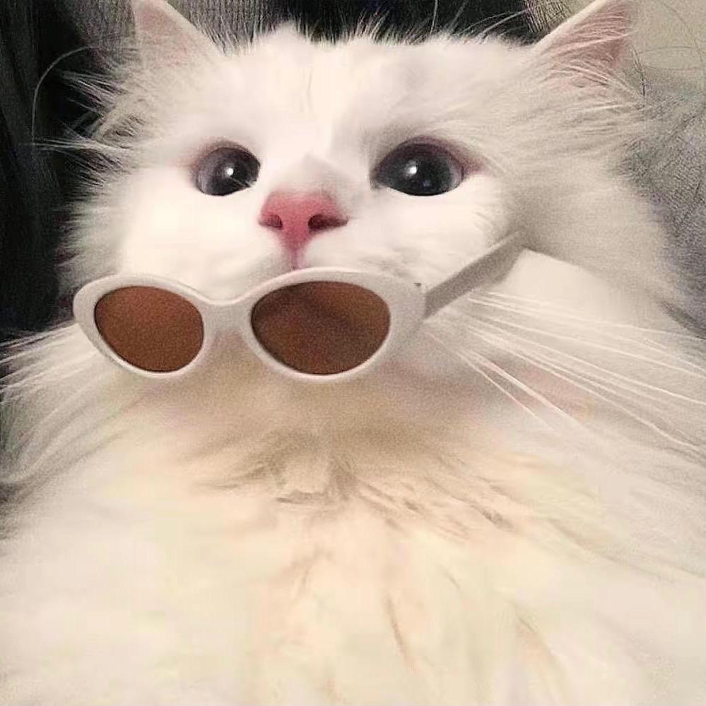 瑞瑞