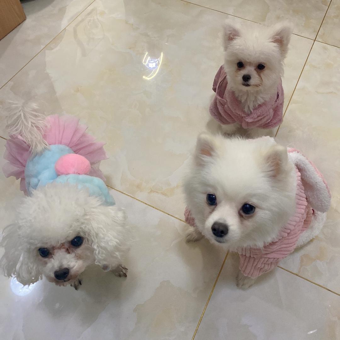 😎ི向阳花