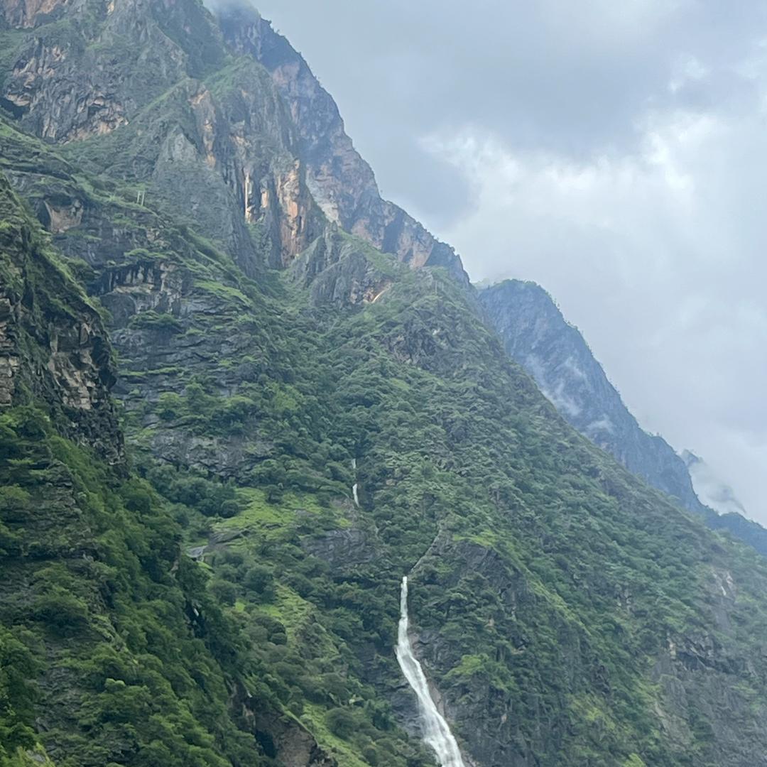 平头哥