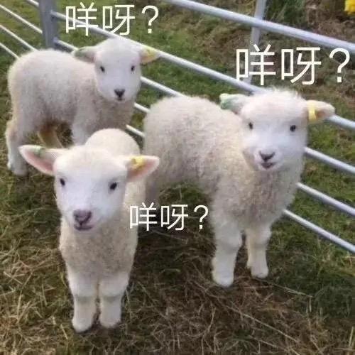 777777777777乐