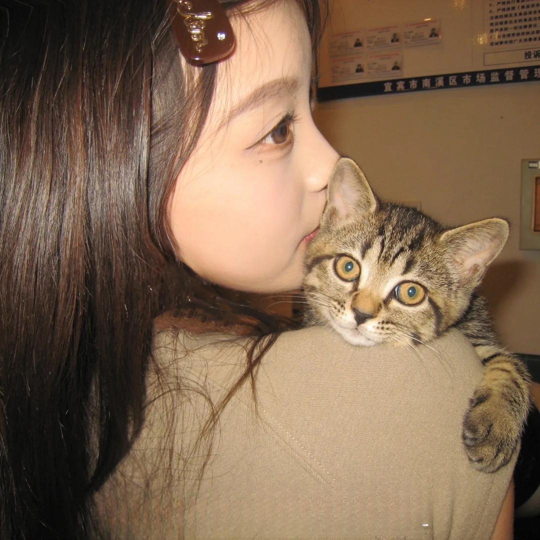 悲伤 Kitty貓.