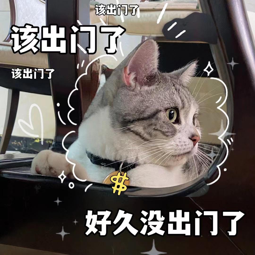 🖤🎶波比波比波比波