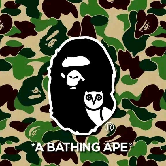 高冷𝙆𝙏小猫🐾