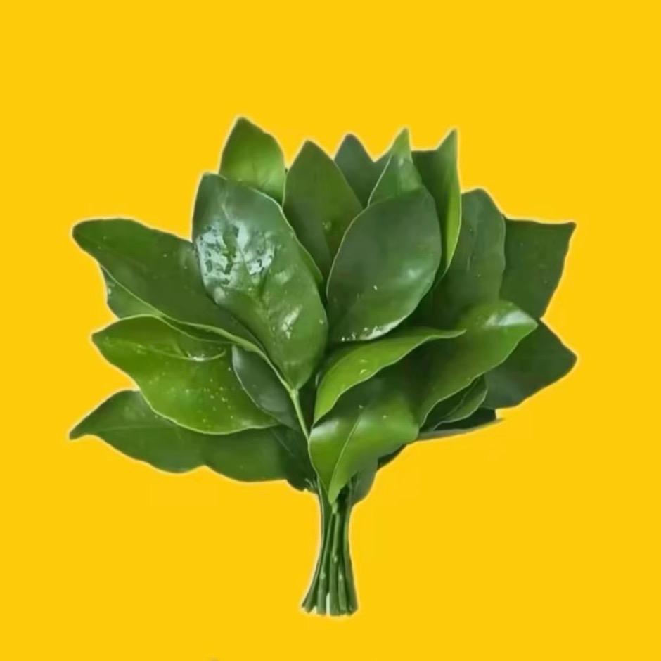 姒姒