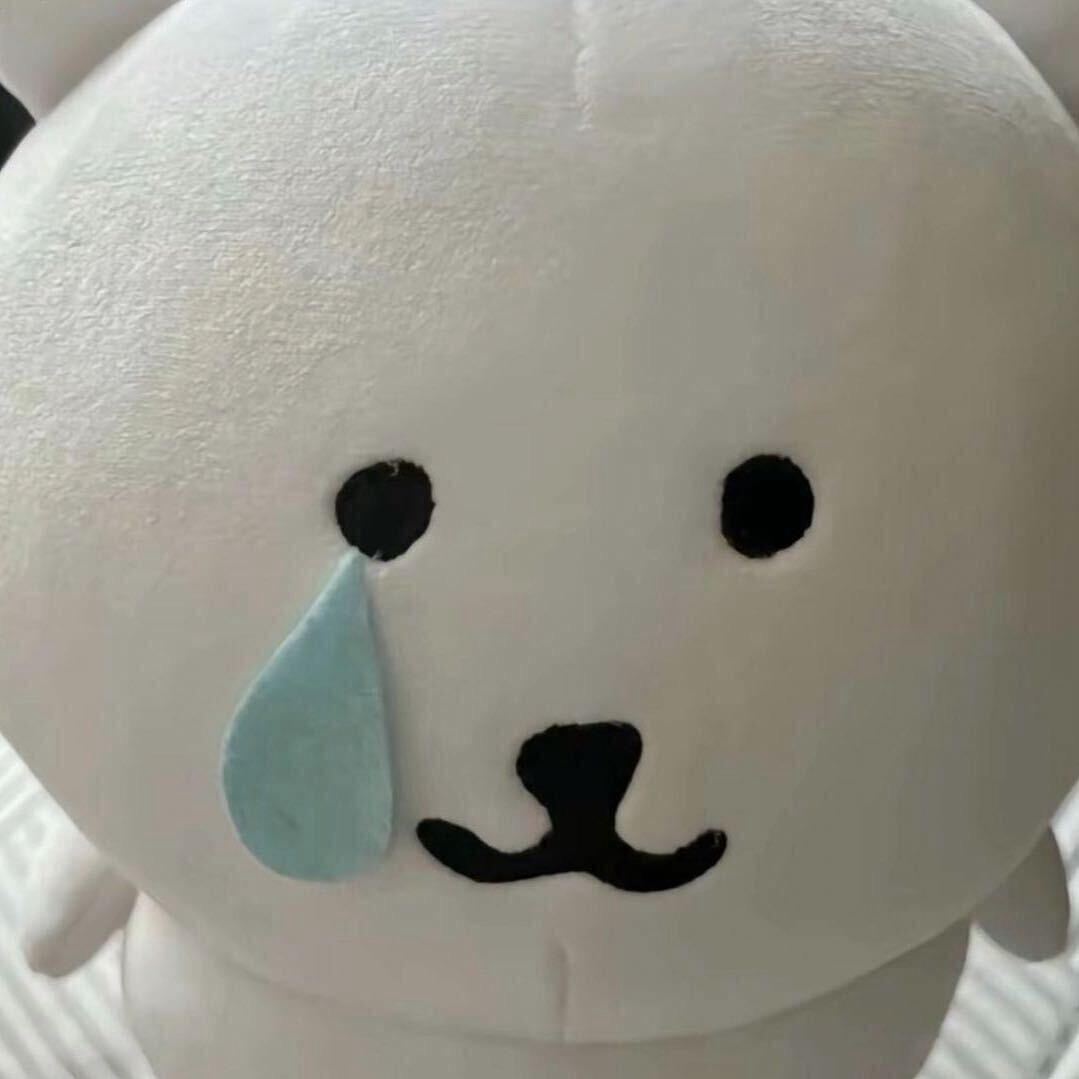 加州