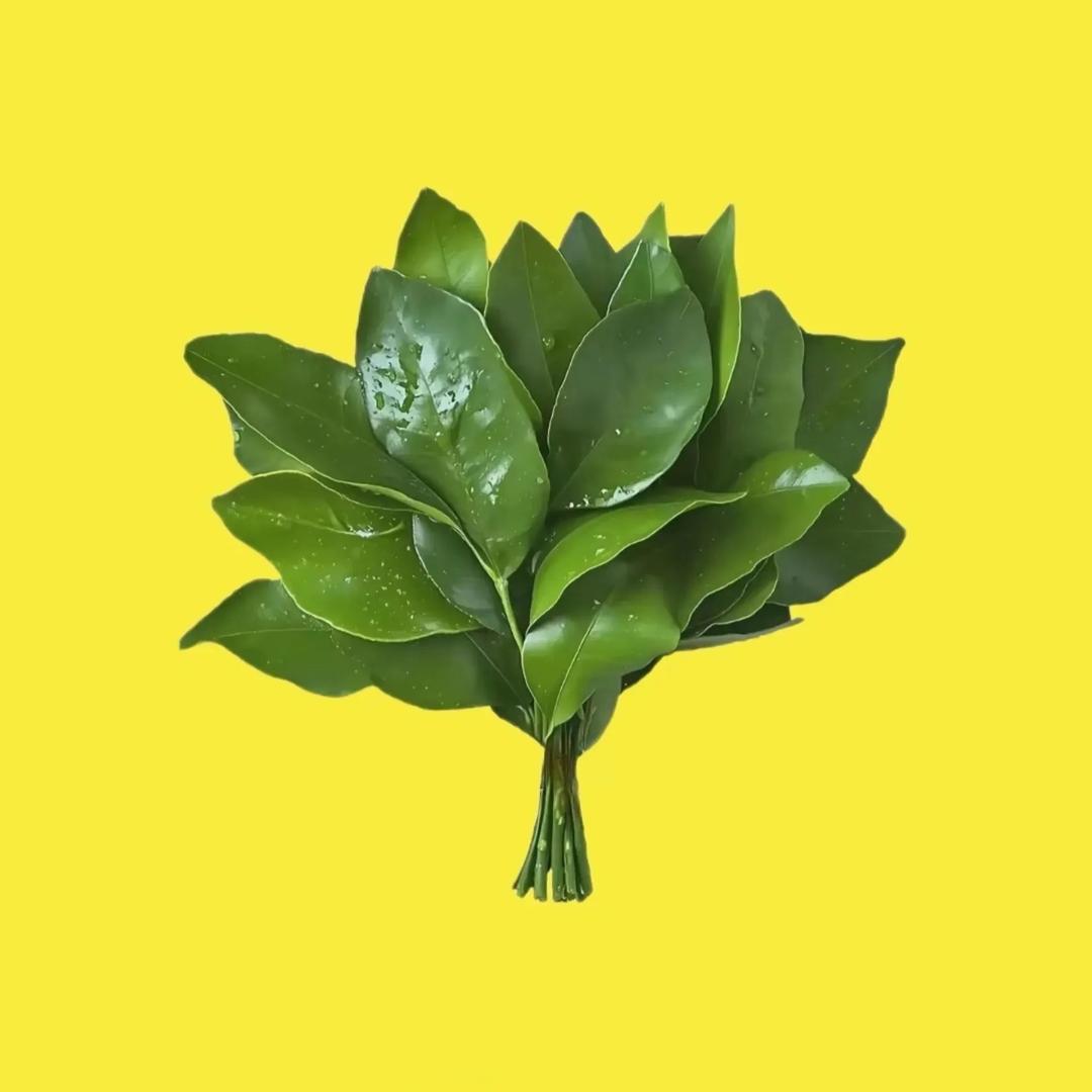 友利🔆