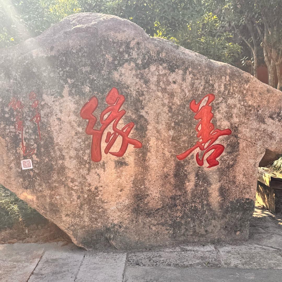 小张同学🧑‍🎓