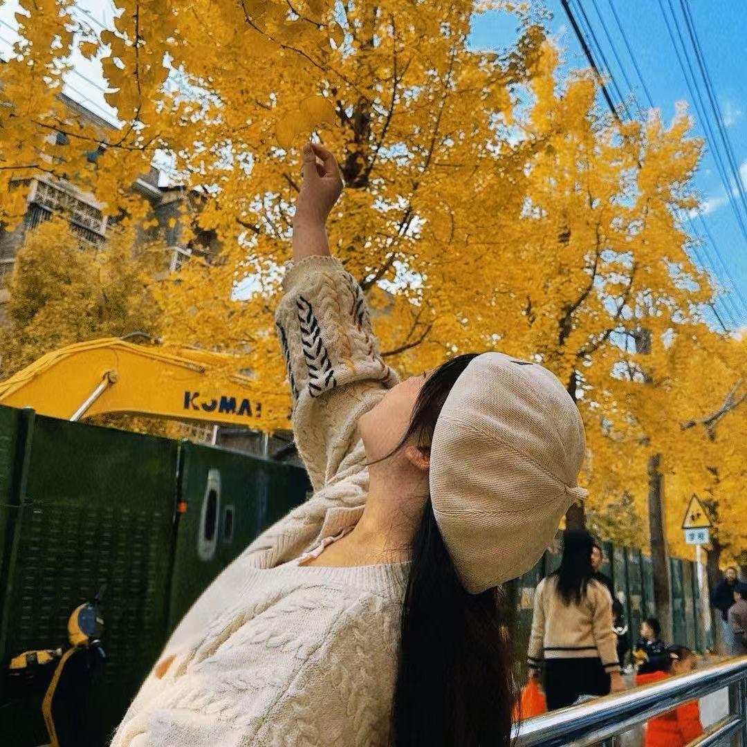 树洞的秘密