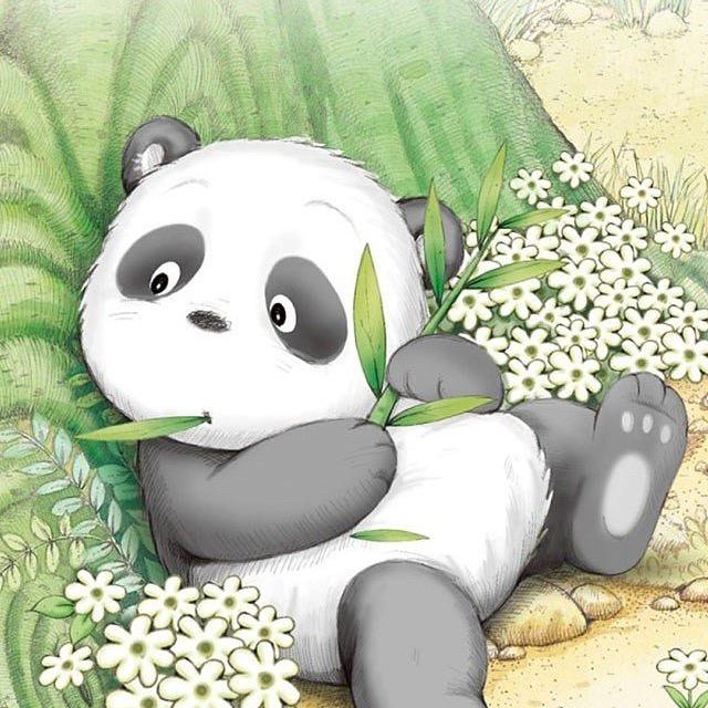 不吃竹子的熊猫