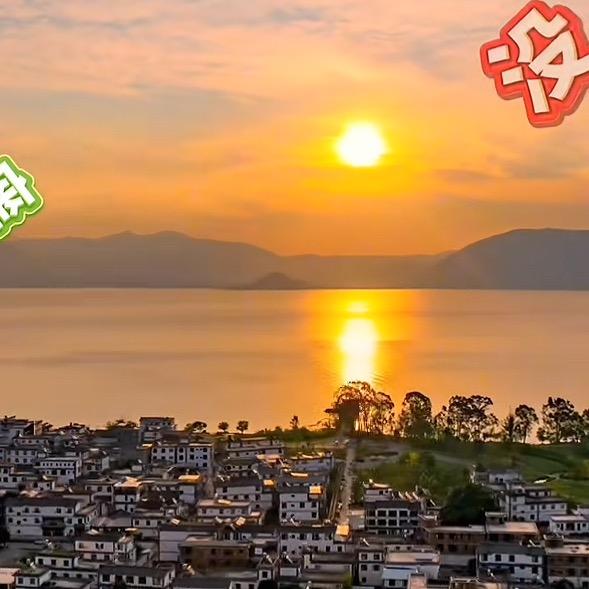 小陈粮油